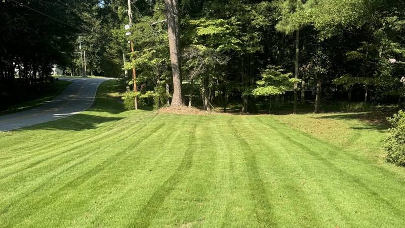 All Above Grounds - Services in Athens, GA