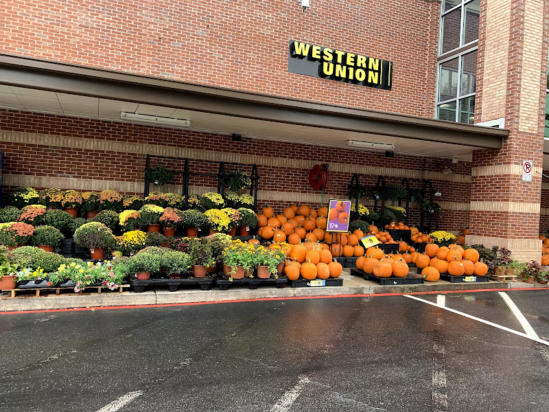 Alps Village - Stores in Athens, GA