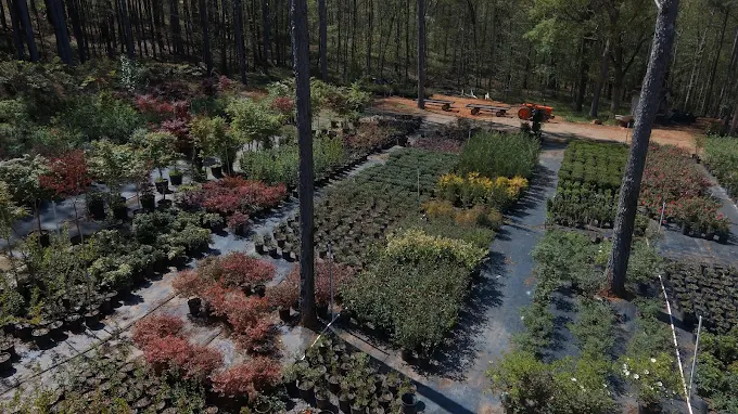Andrew's Farm & Nursery - Stores in Athens, GA