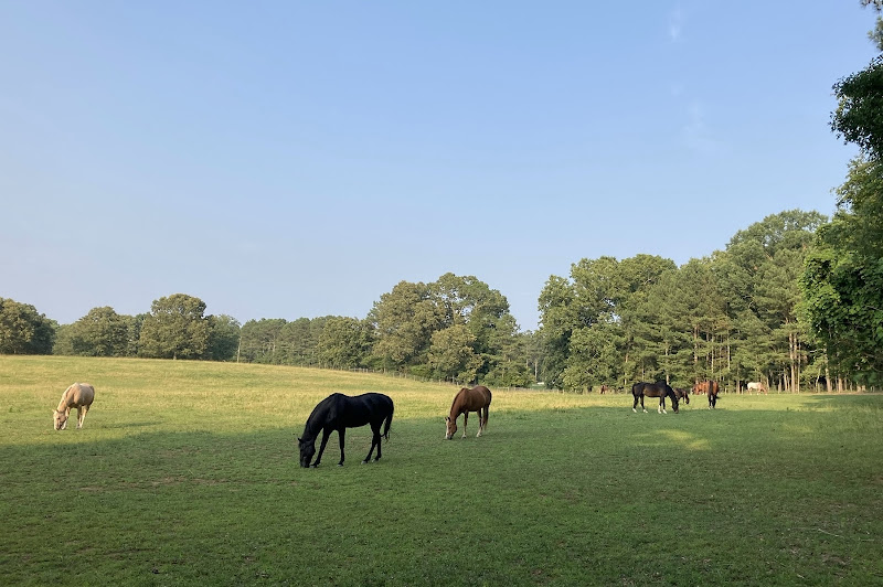 Apalachee Meadows, Horse Boarding Facility and Hay Sales