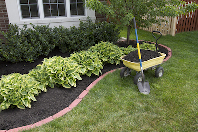 Athens Lawn Care and Service - Services in Athens, GA