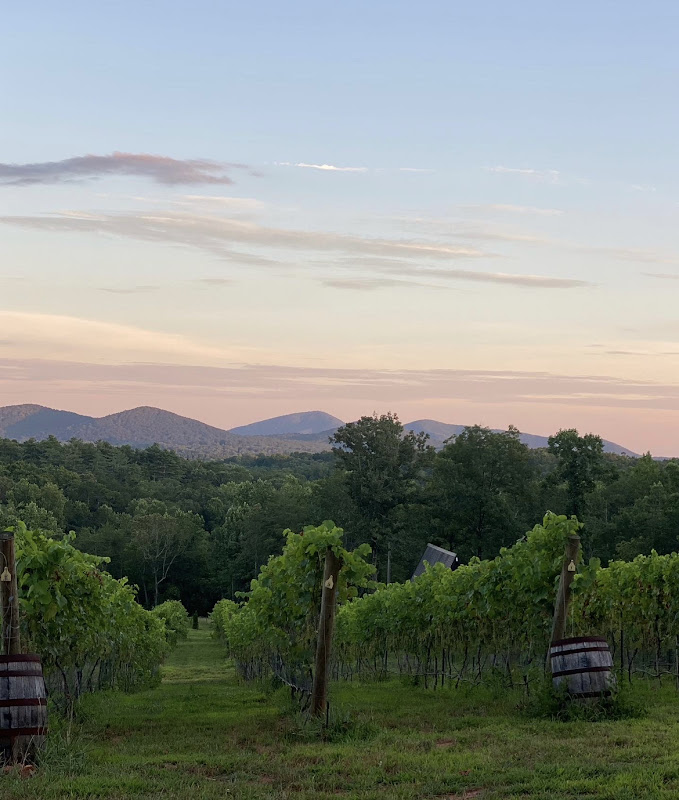 Athens Wine and Brew Tours - Services in Athens, GA