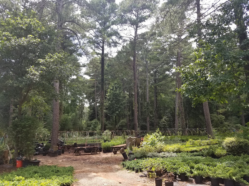Aubry's Arbor - Stores in Athens, GA