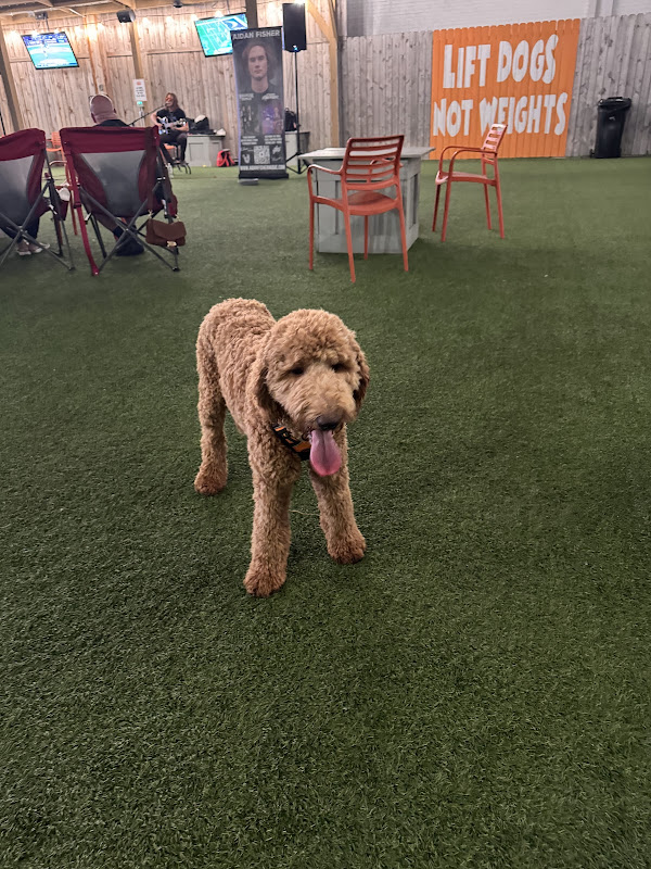 AYERS PAMPERED PETS - Services in Athens, GA