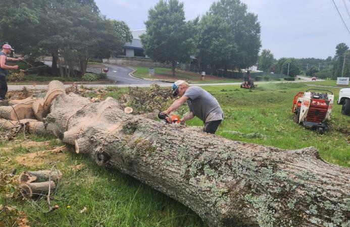 Barnes Landscape Professionals, LLC - Services in Athens, GA
