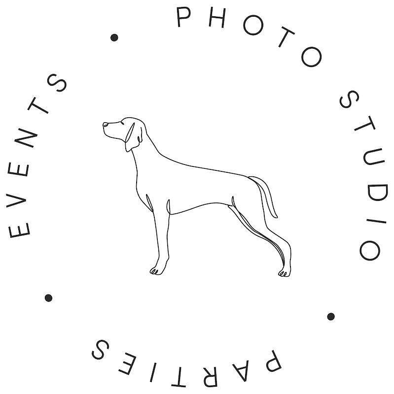 Birdie & Co Studio - Stores in Athens, GA