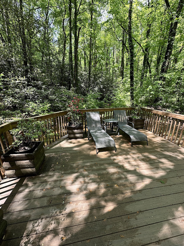 Blue Creek Cabins - Black Bear Creek Cabin - Hotels in Athens, GA