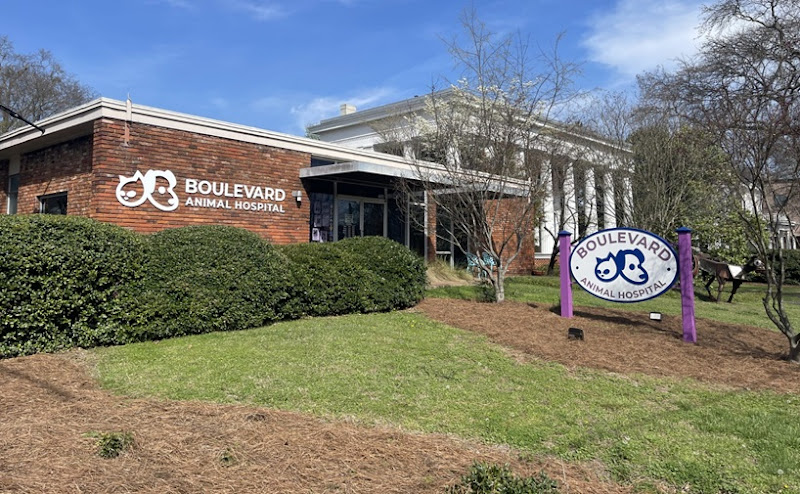 Boulevard Animal Hospital - Services in Athens, GA