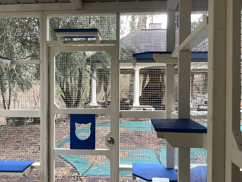 Catio BoB - Services in Athens, GA