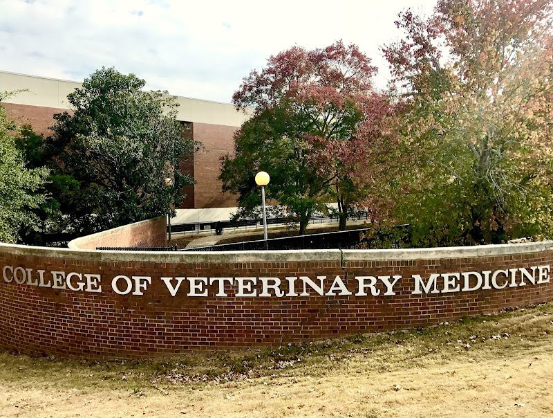 Center for Vaccines and Immunology - Services in Athens, GA