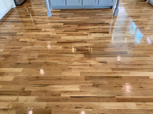CitruSolution Carpet Cleaning of Athens - Services in Athens, GA