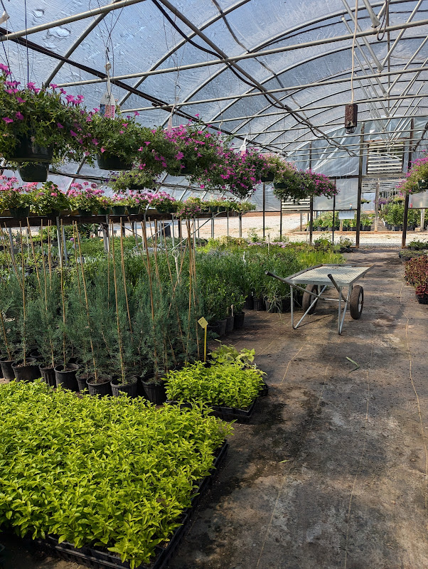 Classic City Flowers and Nursery - Stores in Athens, GA