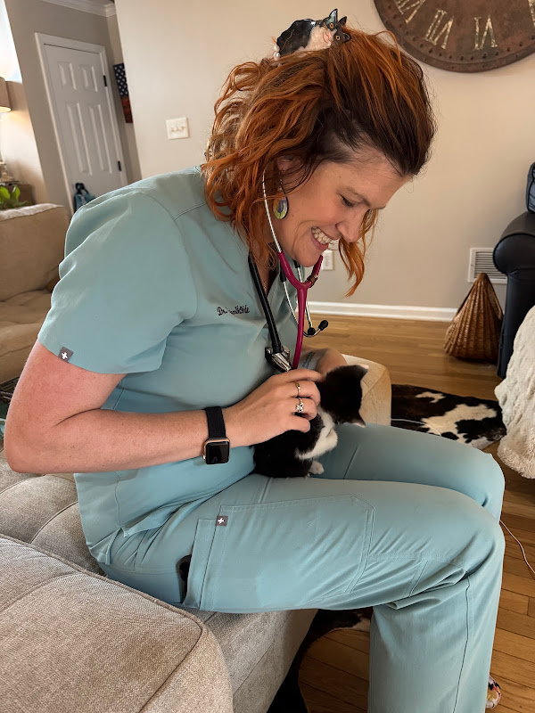 Classic City Kitty - Services in Athens, GA
