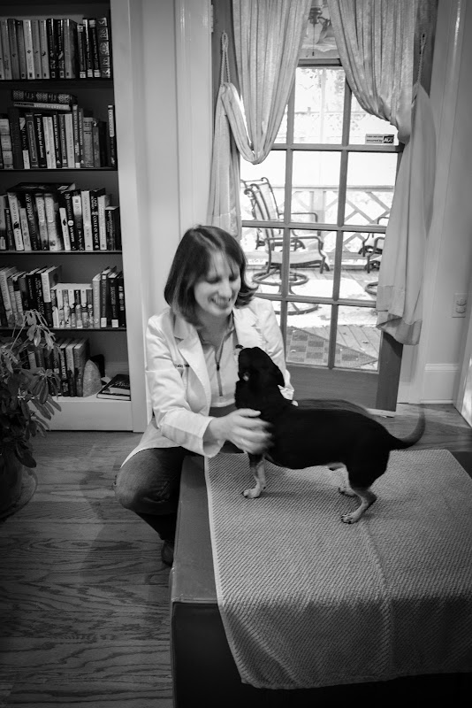 Climbing Rose Veterinary Services - Services in Athens, GA