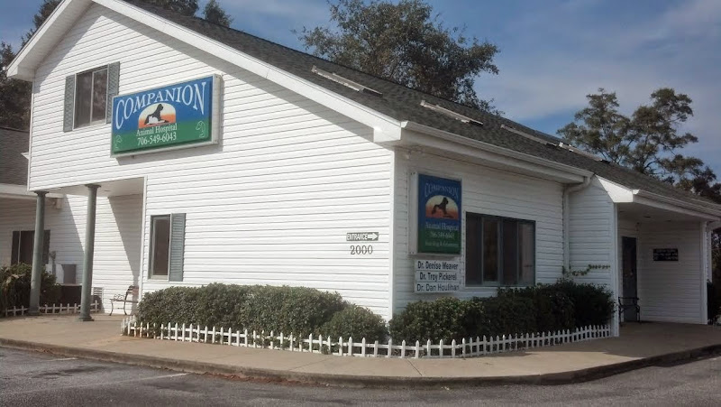 Companion Animal Hospital - Services in Athens, GA