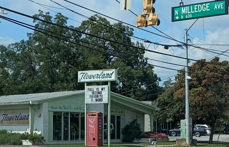 Flowerland - Services in Athens, GA