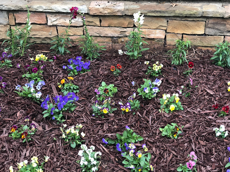 Freshcut Landscaping - Services in Athens, GA