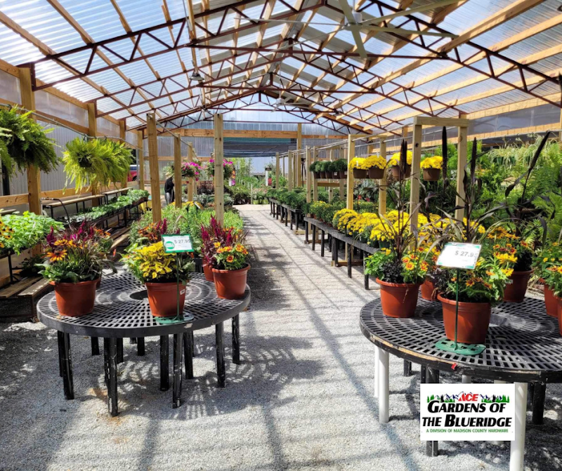 Gardens of the Blue Ridge - Stores in Athens, GA