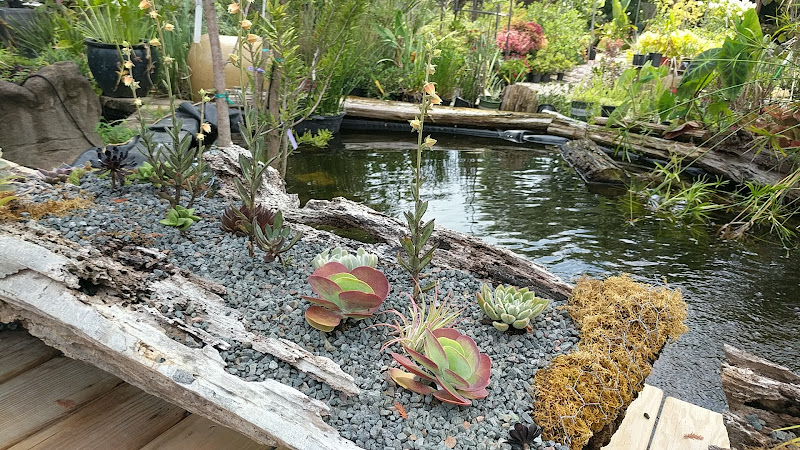 Gardens South Landscape & Design - Stores in Athens, GA