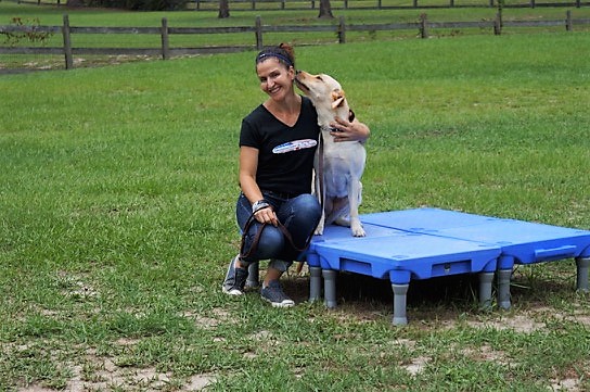 Georgia Dog Trainer - Services in Athens, GA