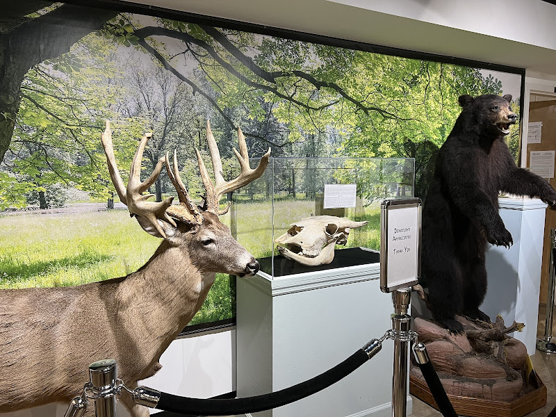 Georgia Museum Of Natural History - Things to Do in Athens, GA