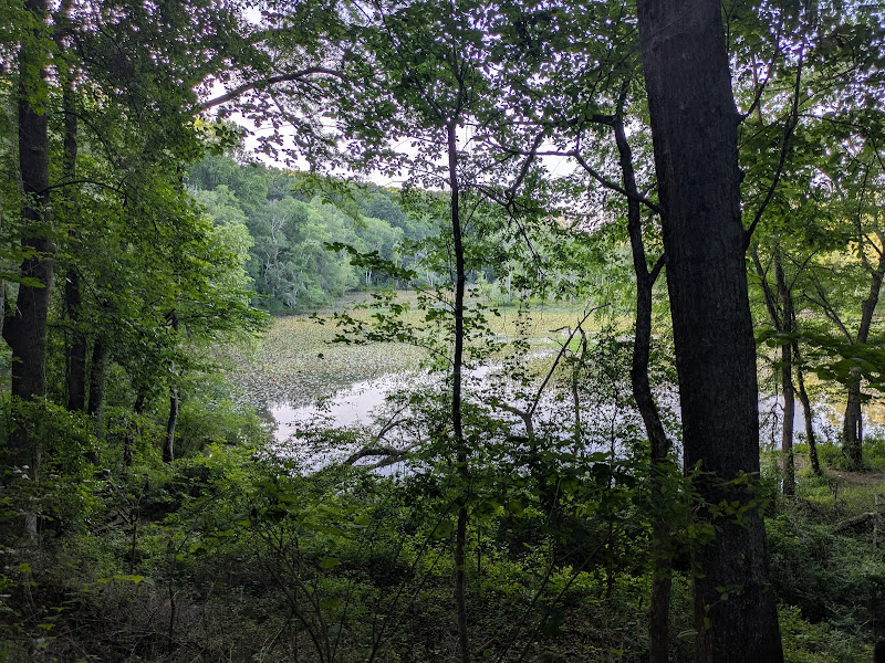 Greenways & Riverside Parks - Things to Do in Athens, GA