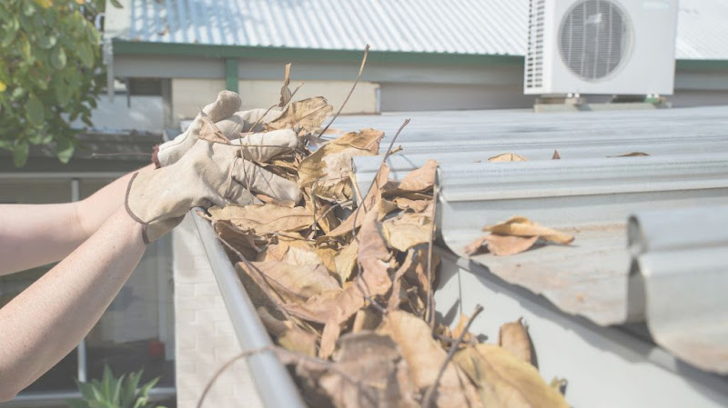 Gutter Cleaning of Athens GA - Services in Athens, GA
