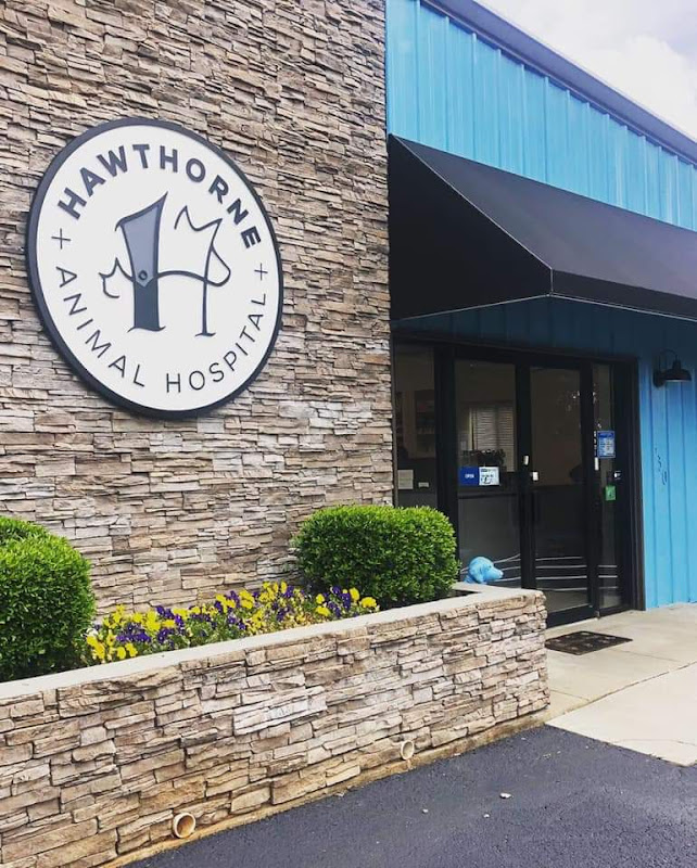 Hawthorne Animal Hospital - Services in Athens, GA