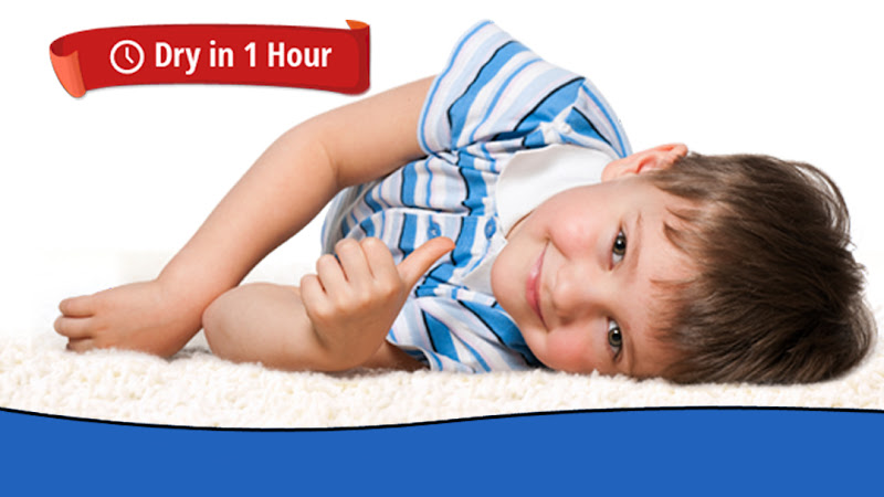 Heaven’s Best Carpet Cleaning Athens GA - Services in Athens, GA