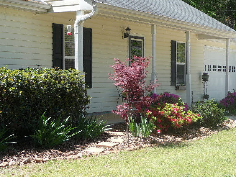 Katie Abernathy Art & Piano - Tutors in Athens, GA