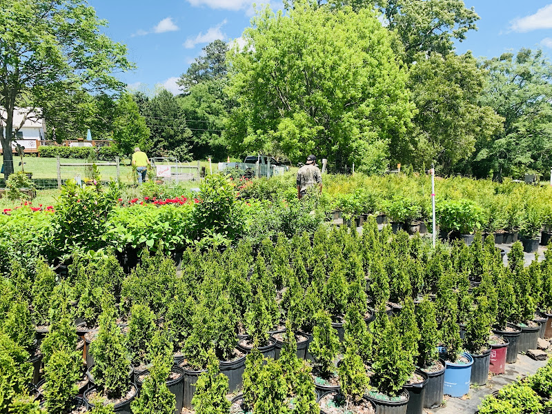 Keel's Tree Farm - Stores in Athens, GA