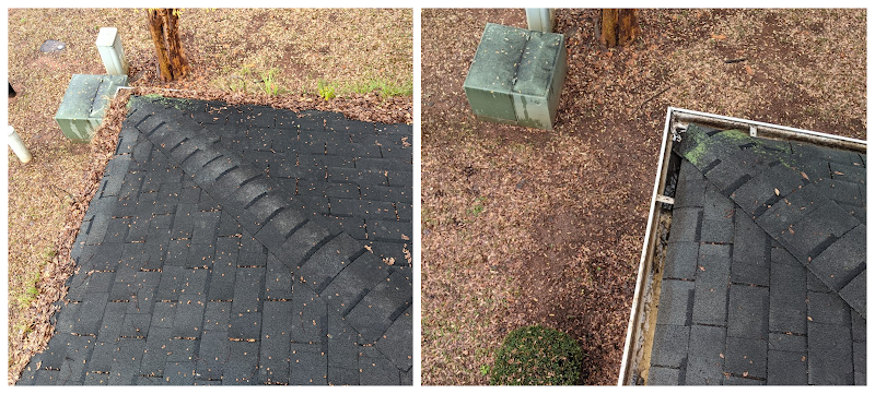 Little Leaf Exterior Cleaning - Services in Athens, GA