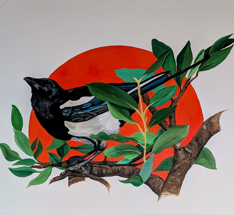 Magpie Pilates - Health in Athens, GA