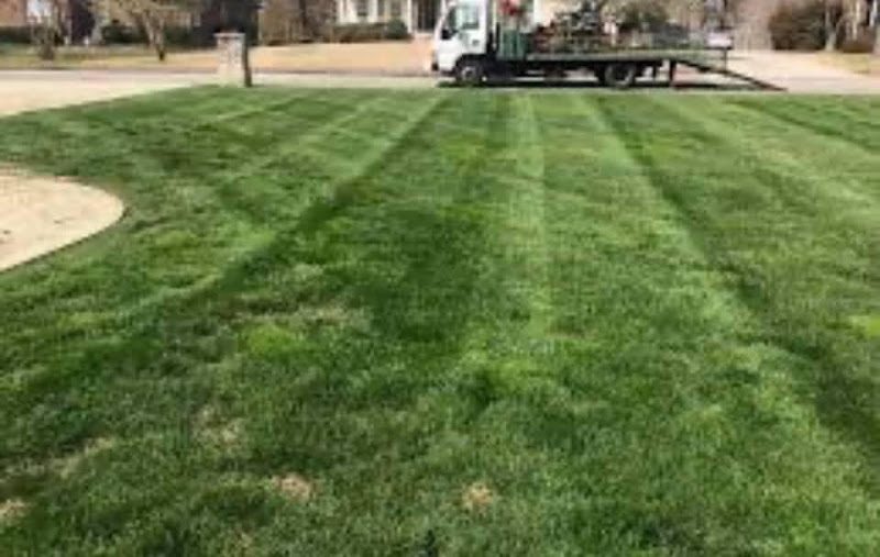 Mighty Tidy Lawn Care and More LLC - Services in Athens, GA