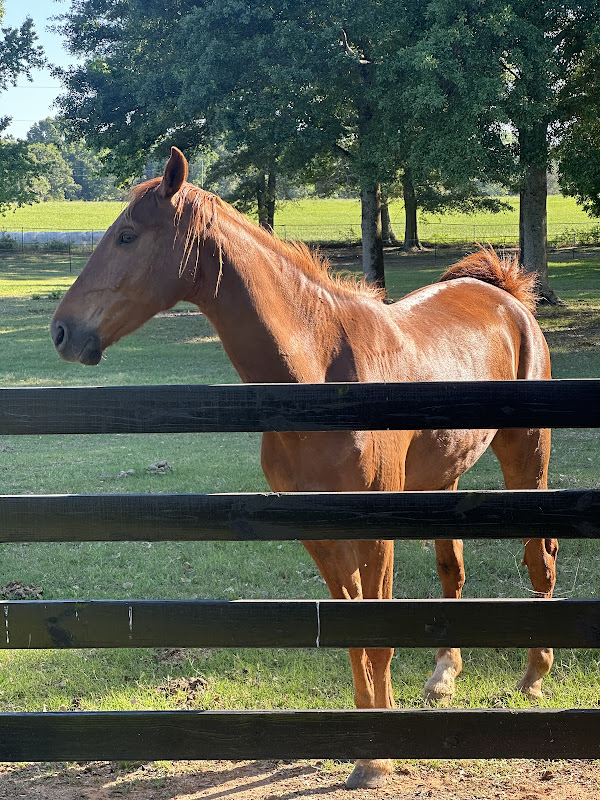 Morning Run Farm, Inc