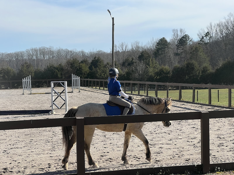 NES Equestrian