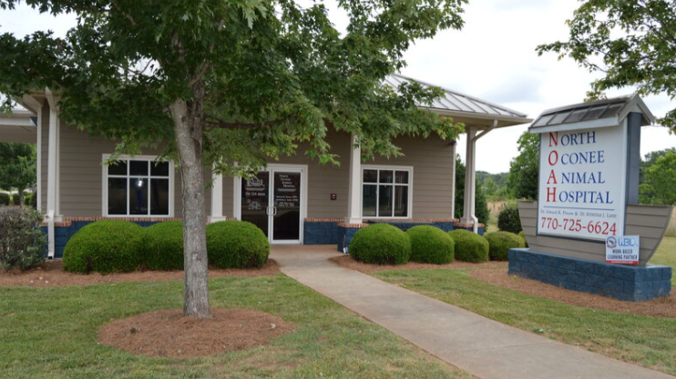North Oconee Animal Hospital - Services in Athens, GA