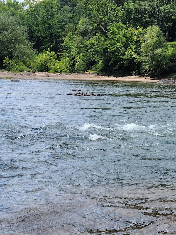 North Oconee River Greenway - Oconee St Trailhead - Things to Do in Athens, GA