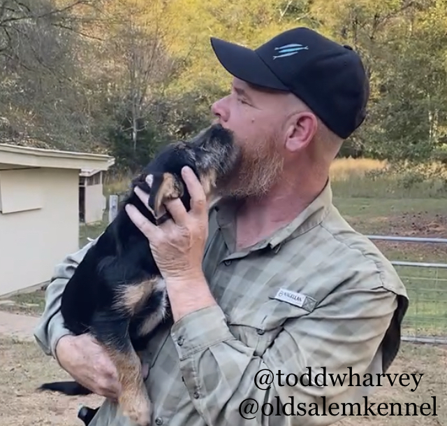 Old Salem Kennel, Inc. - Services in Athens, GA