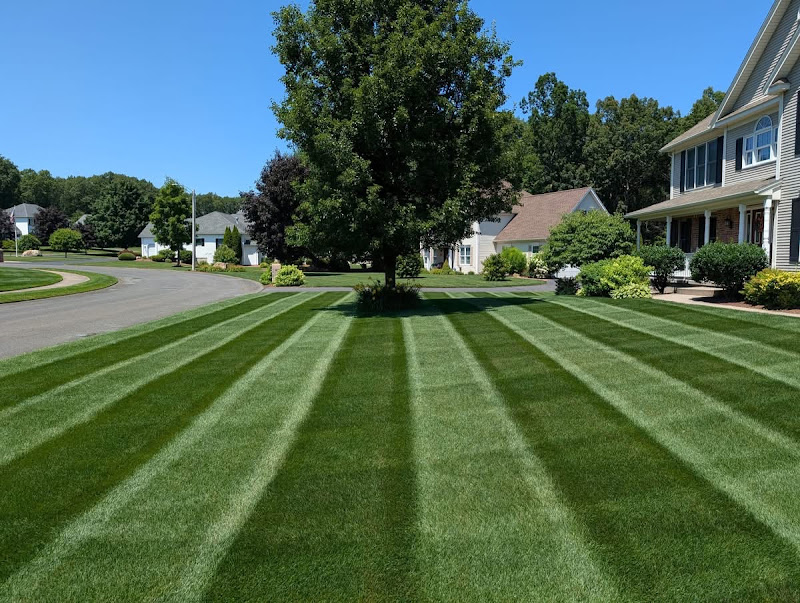 OnDemand Yard Services of Athens - Services in Athens, GA
