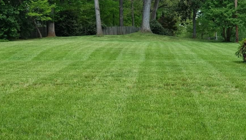 One Less Problem Lawn Care - Services in Athens, GA