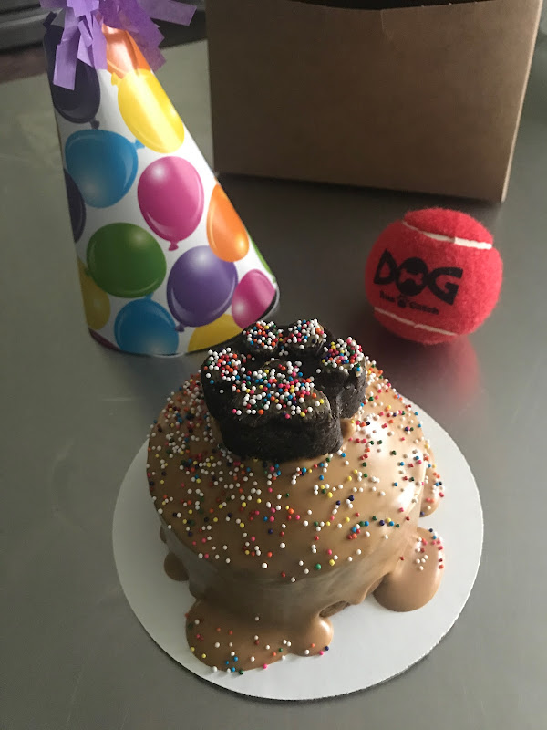 Oscar Bites Dog Treats - Services in Athens, GA