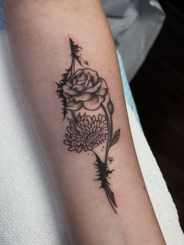 Pain and Wonder Tattoo and Piercing Studio - Stores in Athens, GA