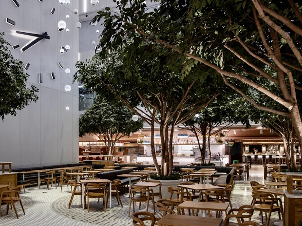 Pesce lulu Seafood Kitchen NYC - Services in Athens, GA