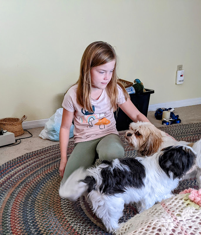 Pet's Choice Sitters - Services in Athens, GA
