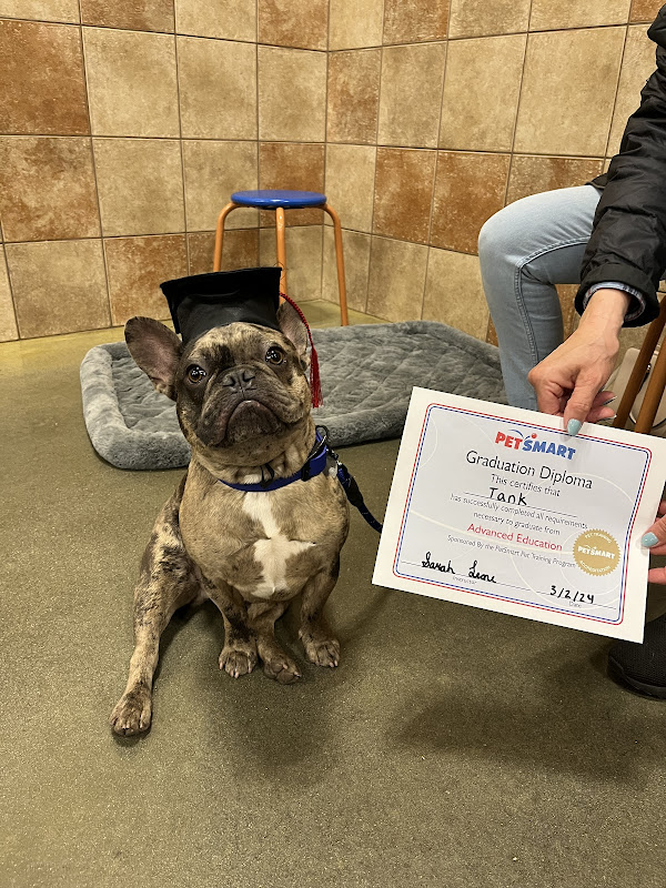 PetSmart Dog Training - Services in Athens, GA