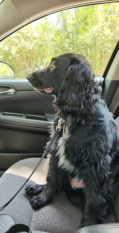PetSmart Grooming - Services in Athens, GA