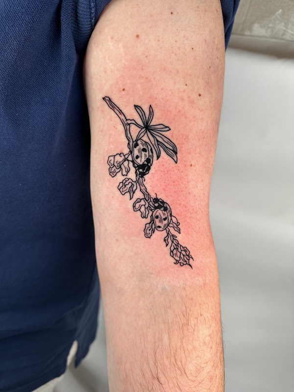 Pink Goblin Tattoo & Piercing - Stores in Athens, GA