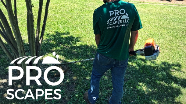 Pro Scapes LLC - Stores in Athens, GA