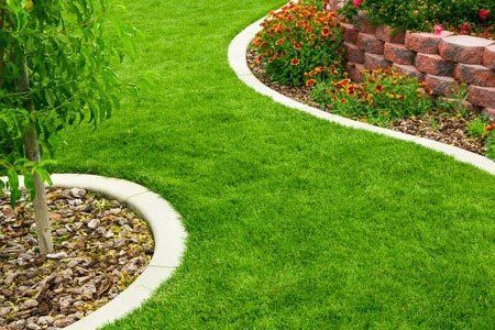 ProWay Turf - Services in Athens, GA